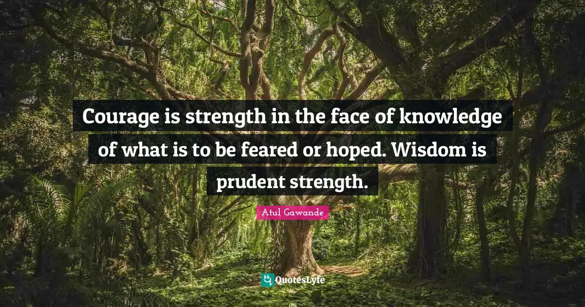 Courage is strength in the face of knowledge of what is to be feared or hoped. Wisdom is prudent strength.