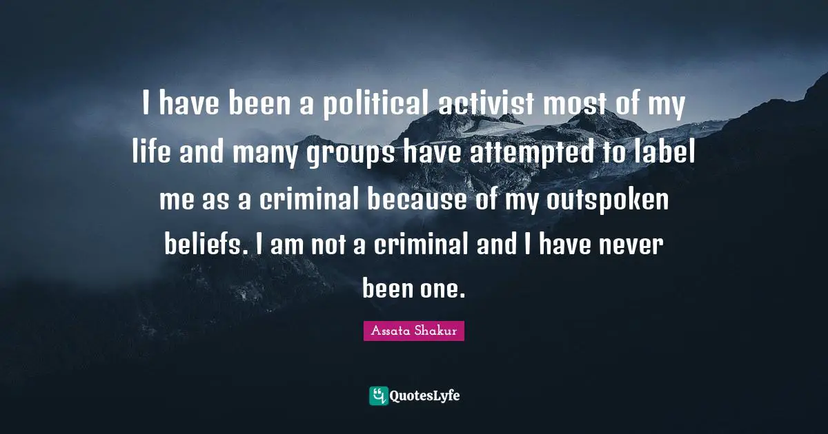 I have been a political activist most of my life and many groups have attempted to label me as a criminal because of my outspoken beliefs. I am not a criminal and I have never been one.