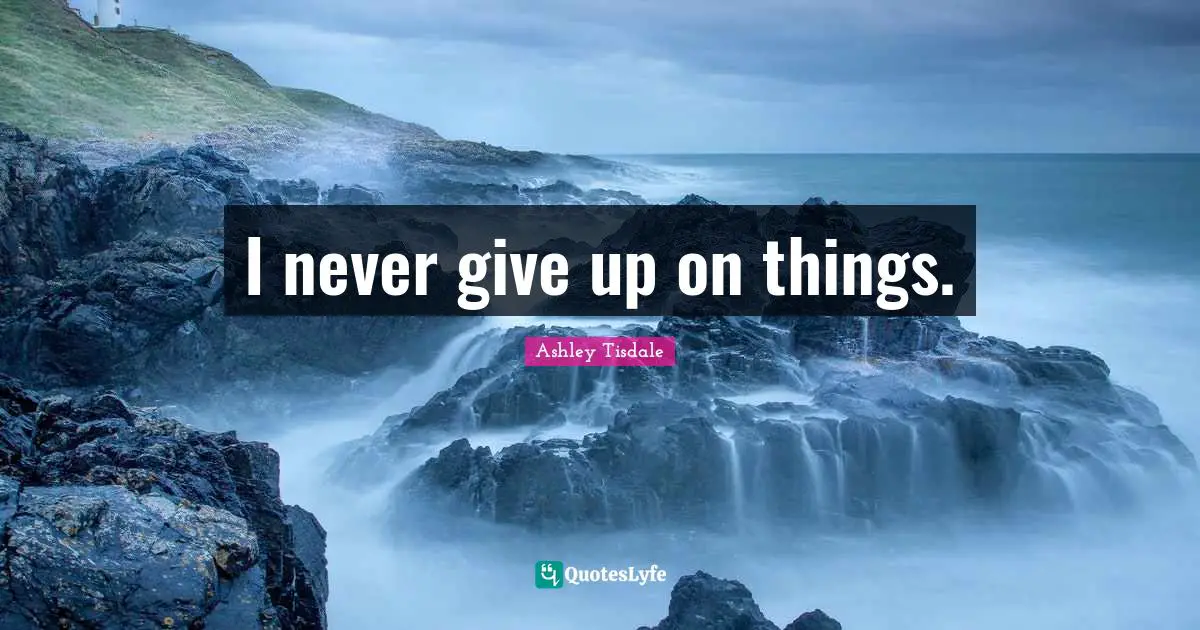 Never Give Up Quotes: "I never give up on things."