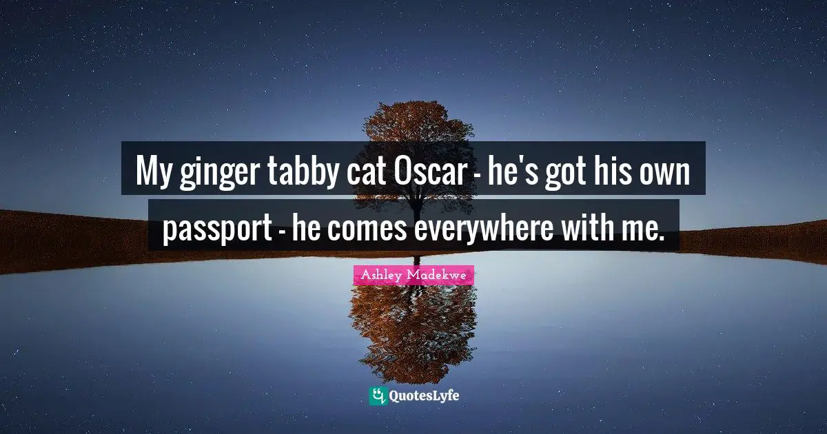 Ashley Madekwe Quotes: "My ginger tabby cat Oscar - he's got his own passport - he comes everywhere with me."