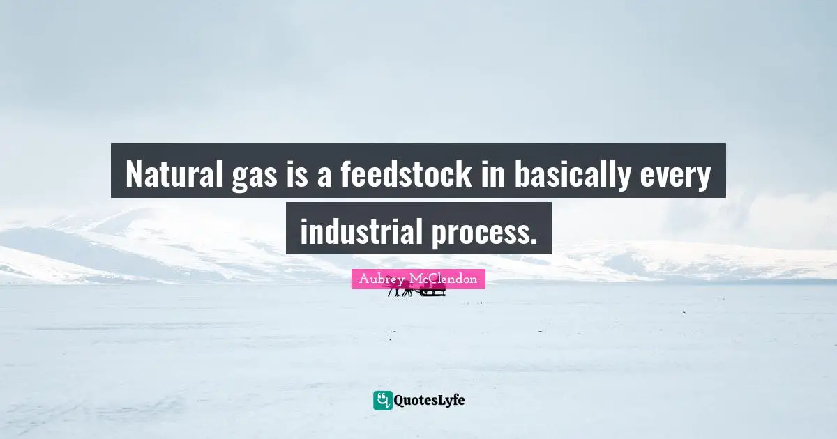 Natural gas is a feedstock in basically every industrial process.