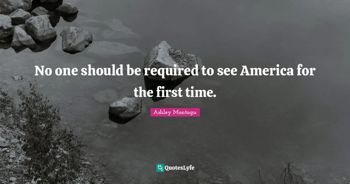 No one should be required to see America for the first time.