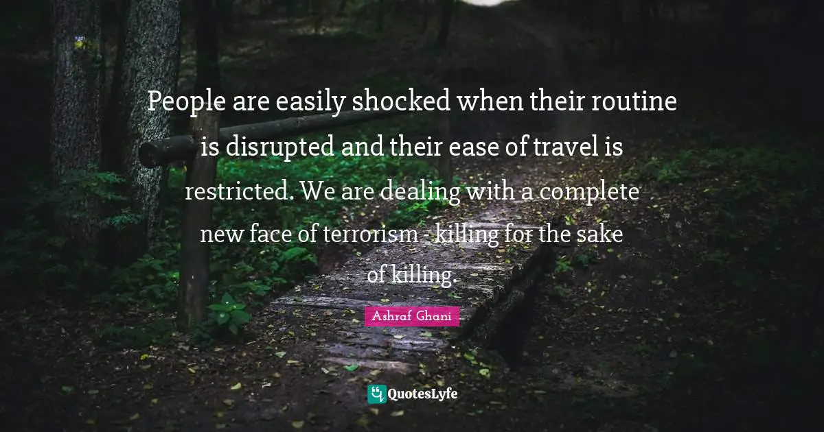 People are easily shocked when their routine is disrupted and their ease of travel is restricted. We are dealing with a complete new face of terrorism - killing for the sake of killing.