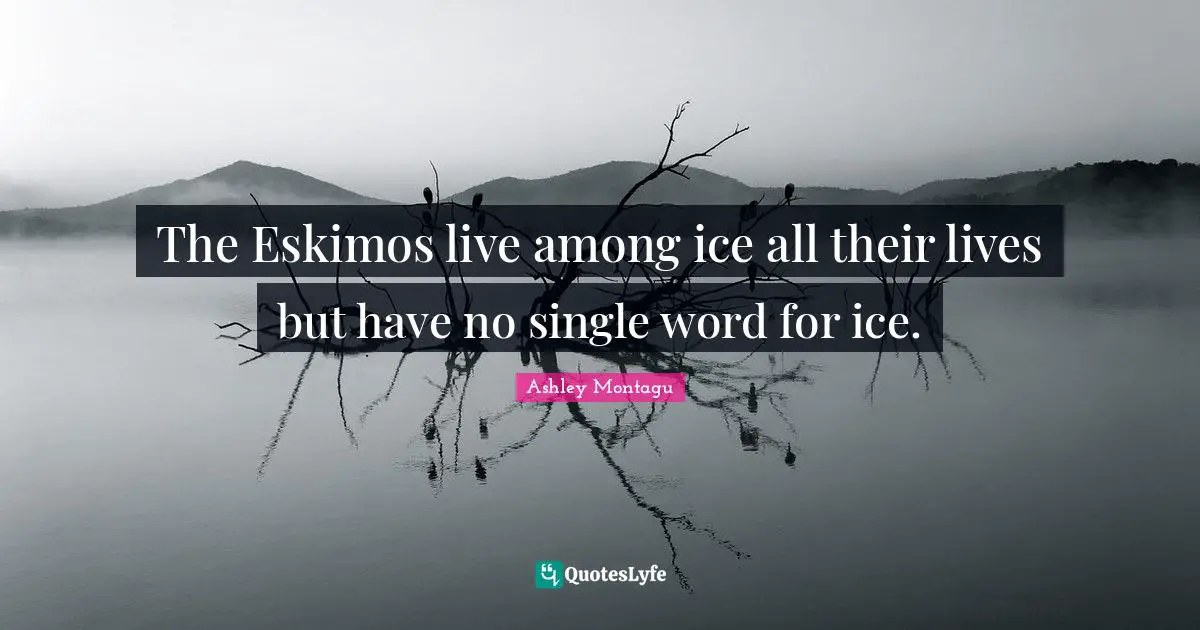 The Eskimos live among ice all their lives but have no single word for ice.