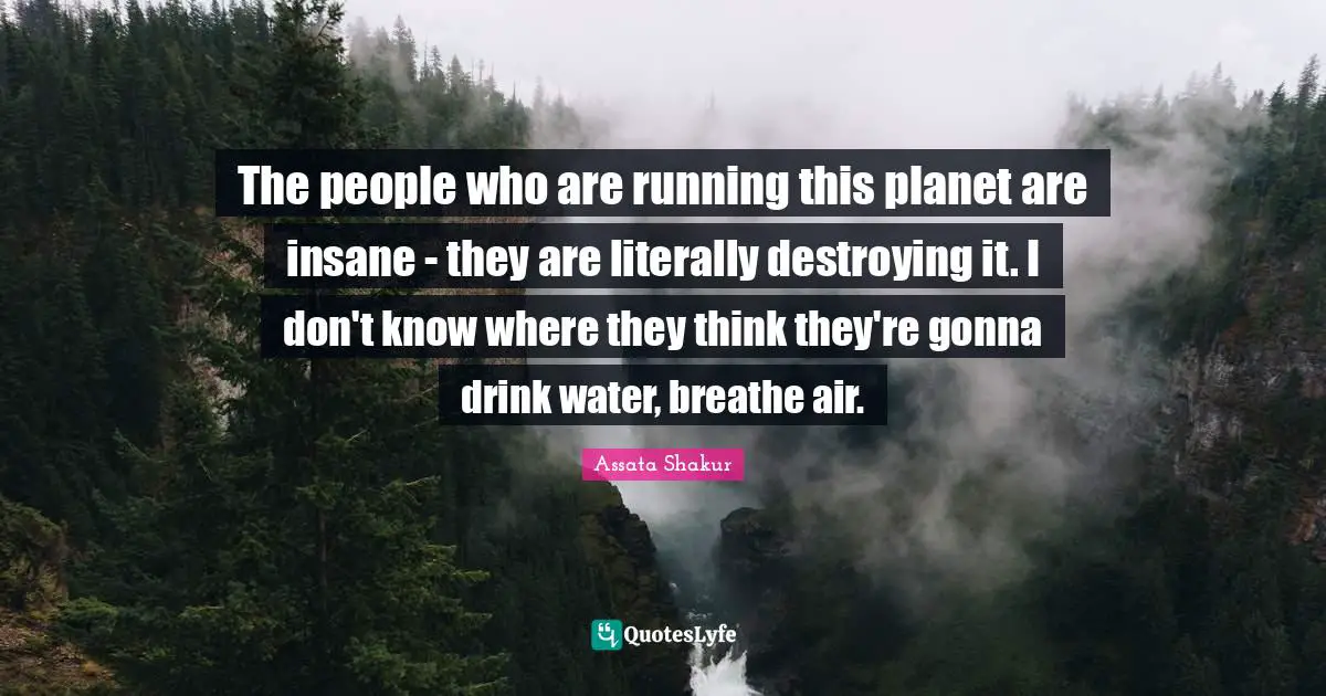 The people who are running this planet are insane - they are literally destroying it. I don't know where they think they're gonna drink water, breathe air.