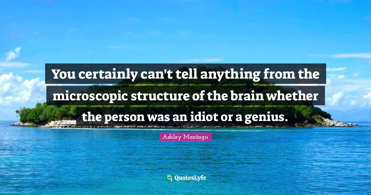 Ashley Montagu Quotes: "You certainly can't tell anything from the microscopic structure of the brain whether the person was an idiot or a genius."