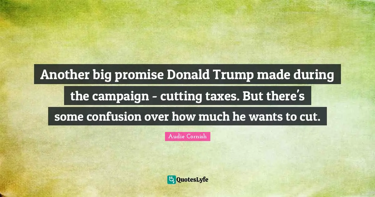 Another big promise Donald Trump made during the campaign - cutting taxes. But there's some confusion over how much he wants to cut.