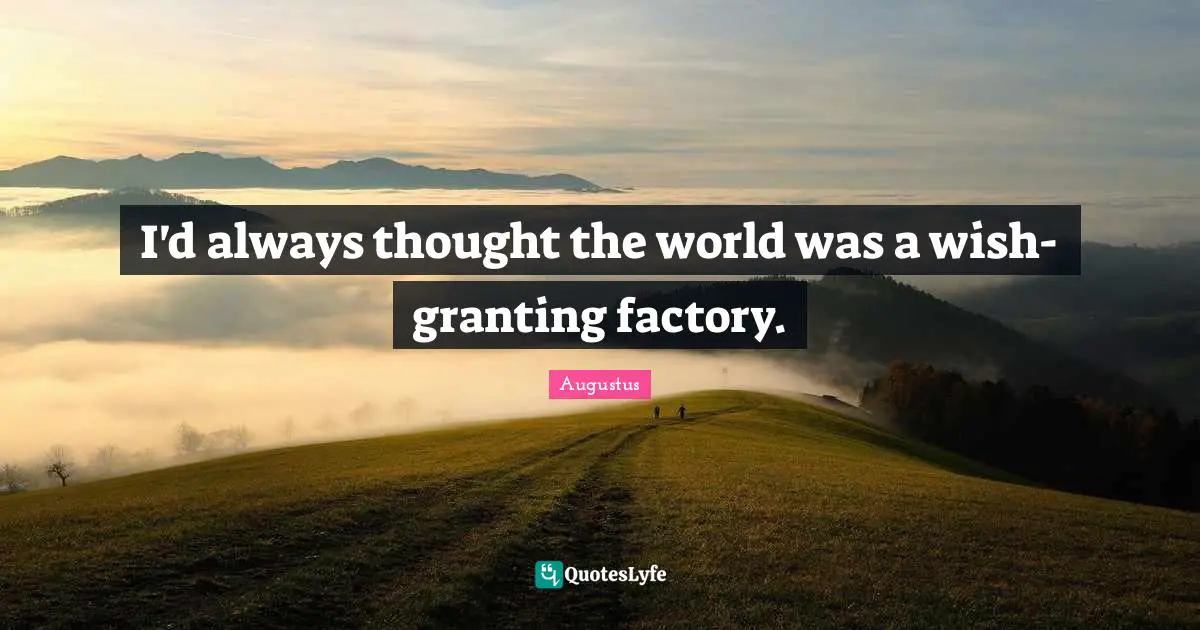I'd always thought the world was a wish-granting factory.