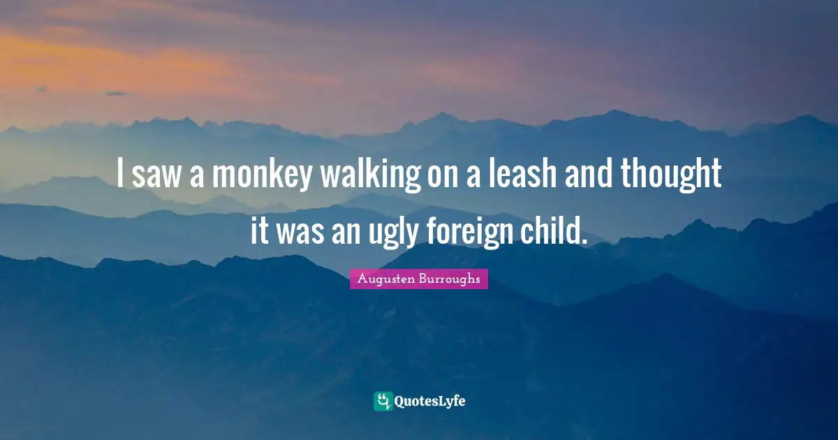 I saw a monkey walking on a leash and thought it was an ugly foreign child.