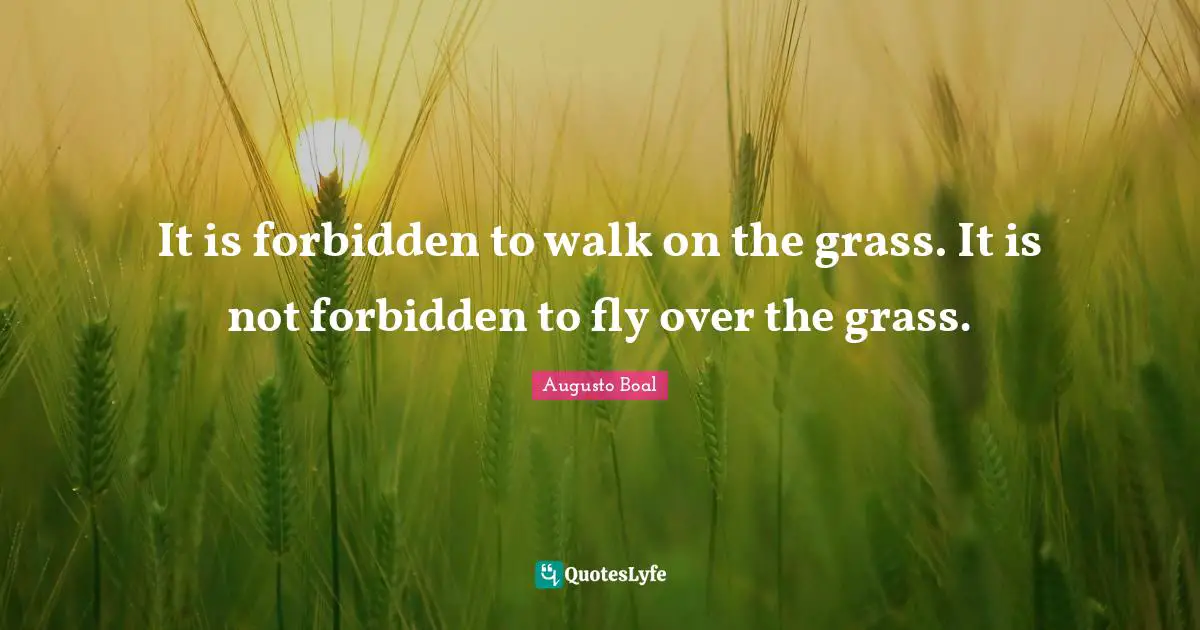 It is forbidden to walk on the grass. It is not forbidden to fly over the grass.