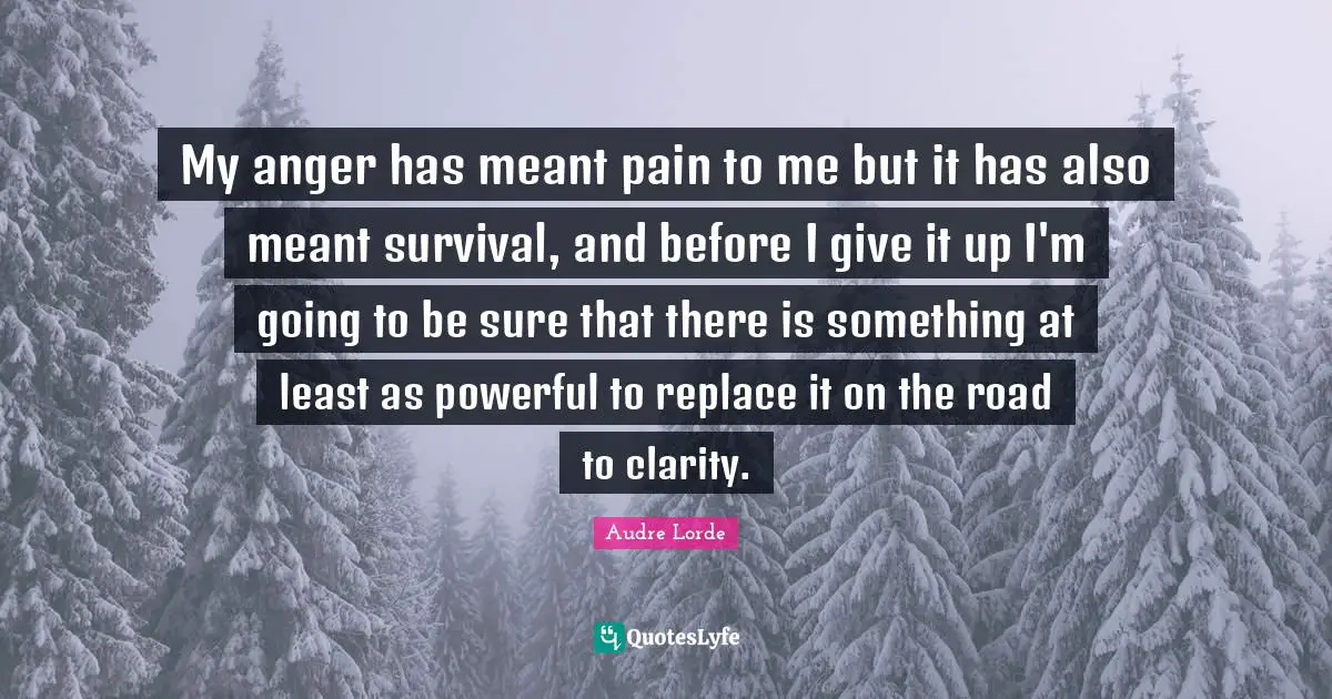 My anger has meant pain to me but it has also meant survival, and before I give it up I'm going to be sure that there is something at least as powerful to replace it on the road to clarity.