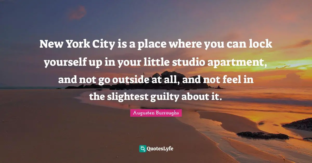 New York City is a place where you can lock yourself up in your little studio apartment, and not go outside at all, and not feel in the slightest guilty about it.