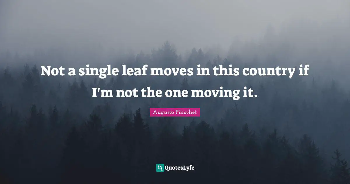 Augusto Pinochet Quotes: Not a single leaf moves in this country if I'm not the one moving it.