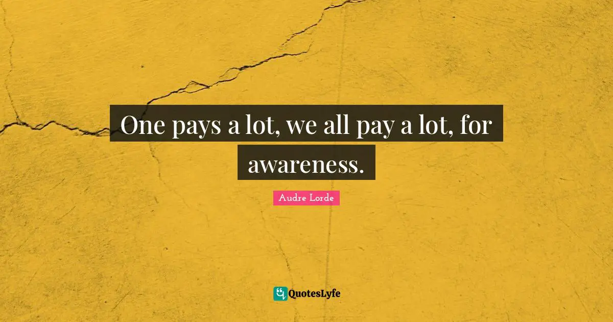 Lorde Quotes: "One pays a lot, we all pay a lot, for awareness."