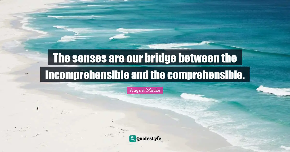 The senses are our bridge between the incomprehensible and the comprehensible.