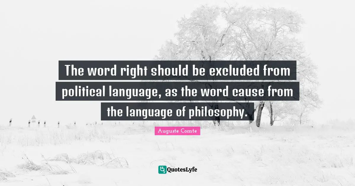 The word right should be excluded from political language, as the word cause from the language of philosophy.