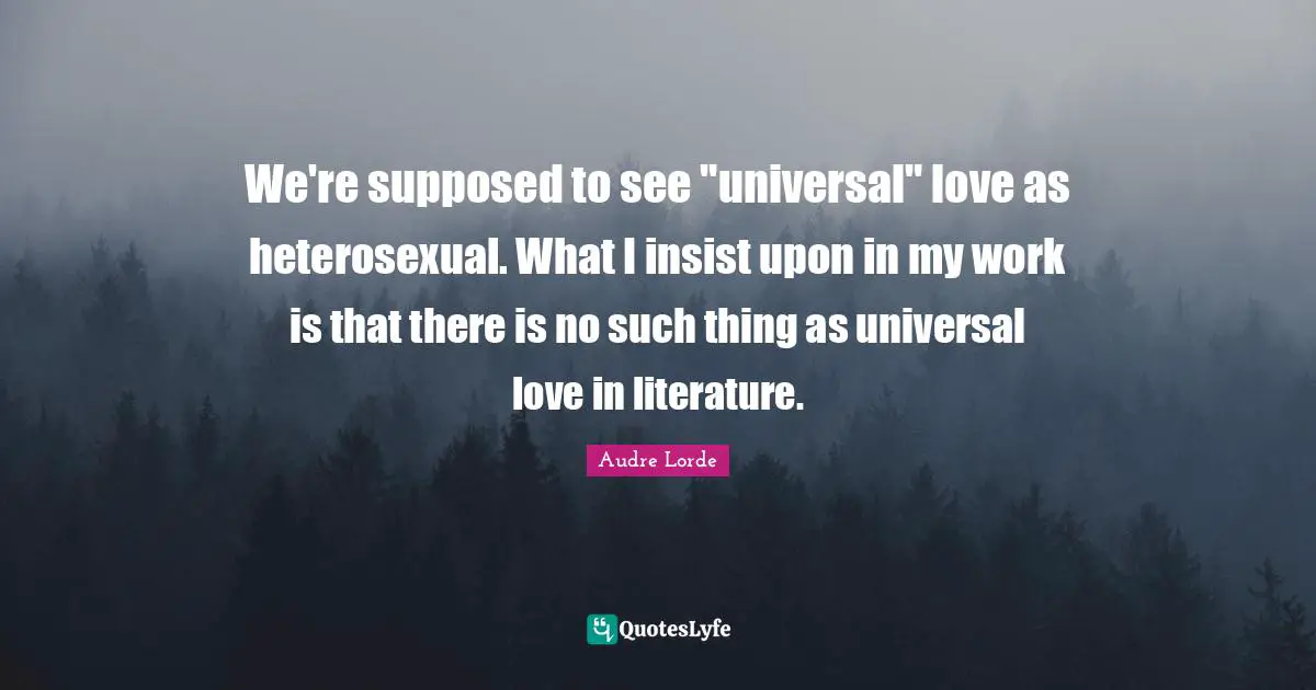 We're supposed to see "universal" love as heterosexual. What I insist upon in my work is that there is no such thing as universal love in literature.