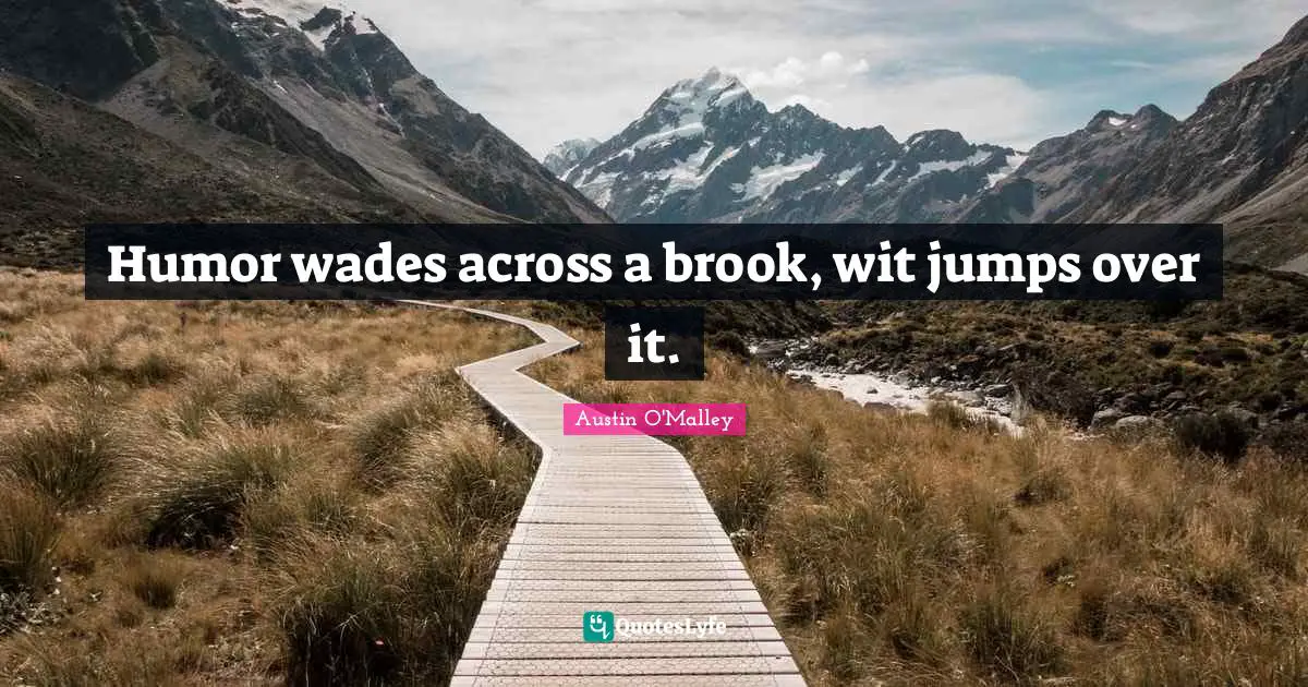 Humor wades across a brook, wit jumps over it.