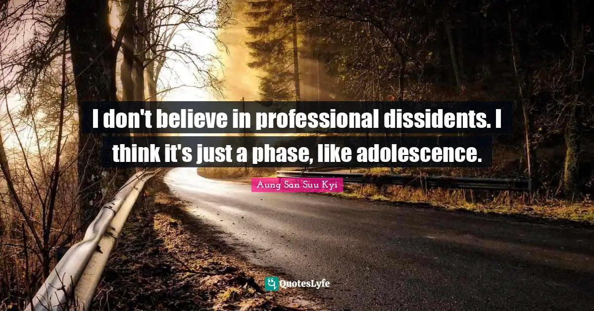 I don't believe in professional dissidents. I think it's just a phase, like adolescence.