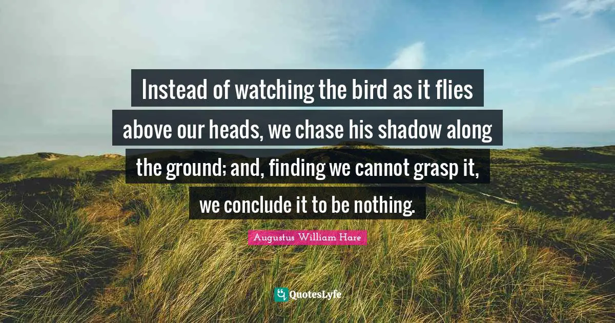 Instead of watching the bird as it flies above our heads, we chase his shadow along the ground; and, finding we cannot grasp it, we conclude it to be nothing.