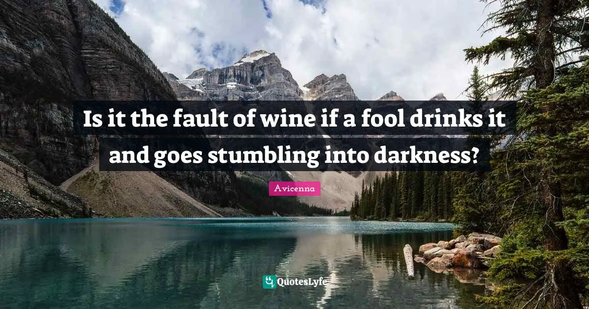 Wine Quotes: "Is it the fault of wine if a fool drinks it and goes stumbling into darkness?"