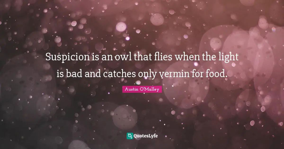 Suspicion is an owl that flies when the light is bad and catches only vermin for food.