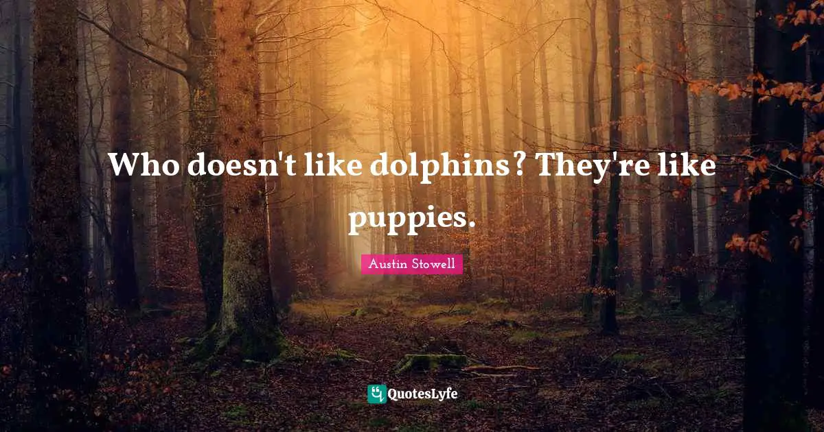 Who doesn't like dolphins? They're like puppies.