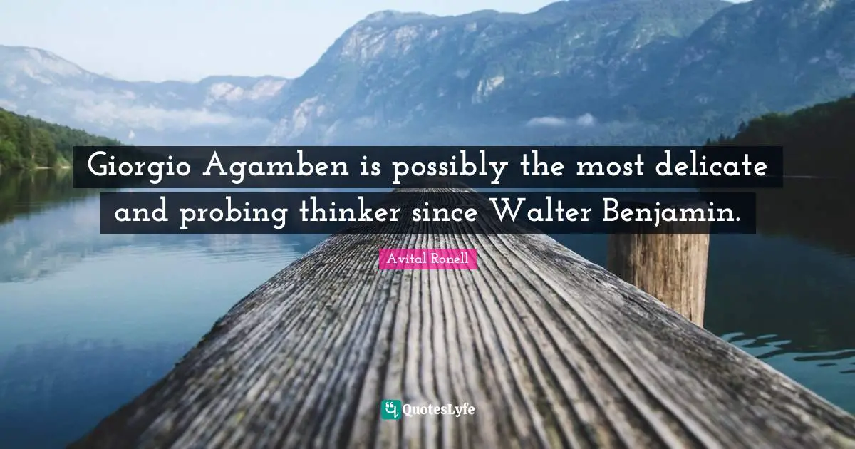 Giorgio Agamben is possibly the most delicate and probing thinker since Walter Benjamin.