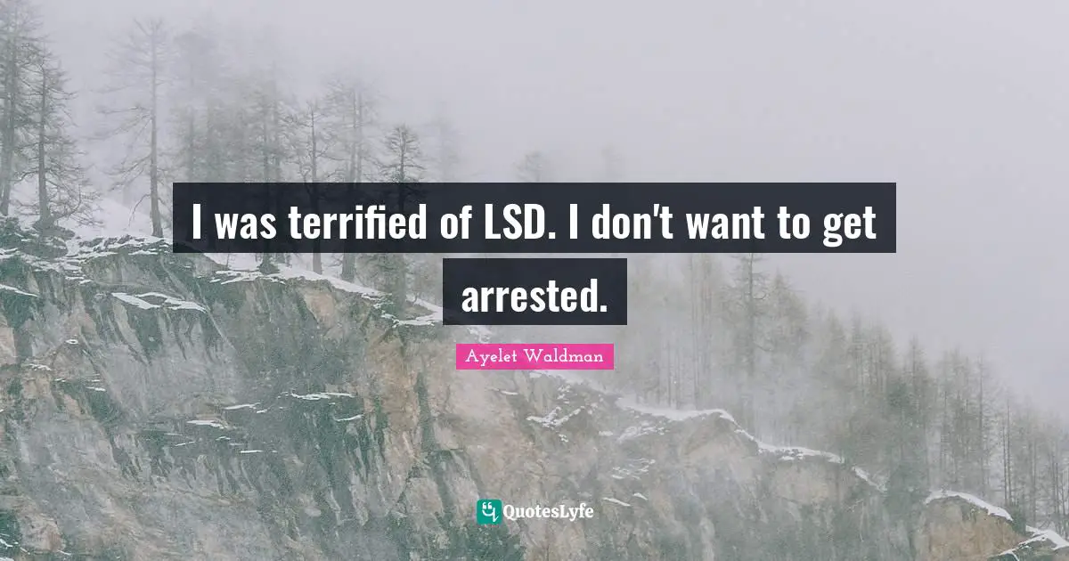 I was terrified of LSD. I don't want to get arrested.