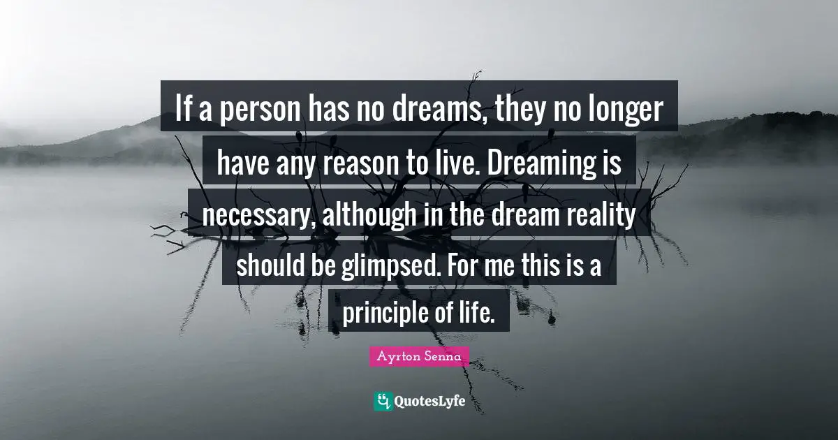 Ayrton Senna Quotes: If a person has no dreams, they no longer have any reason to live. Dreaming is necessary, although in the dream reality should be glimpsed. For me this is a principle of life.