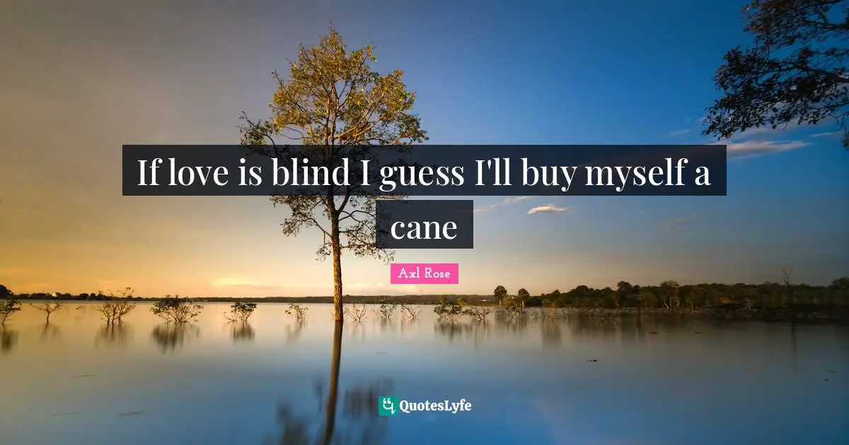 If love is blind I guess I'll buy myself a cane