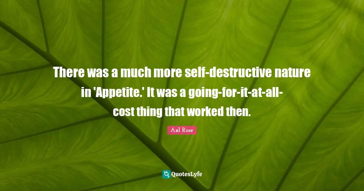 There was a much more self-destructive nature in 'Appetite.' It was a going-for-it-at-all-cost thing that worked then.