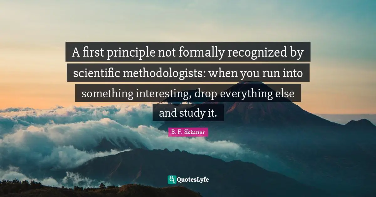 A first principle not formally recognized by scientific methodologists: when you run into something interesting, drop everything else and study it.