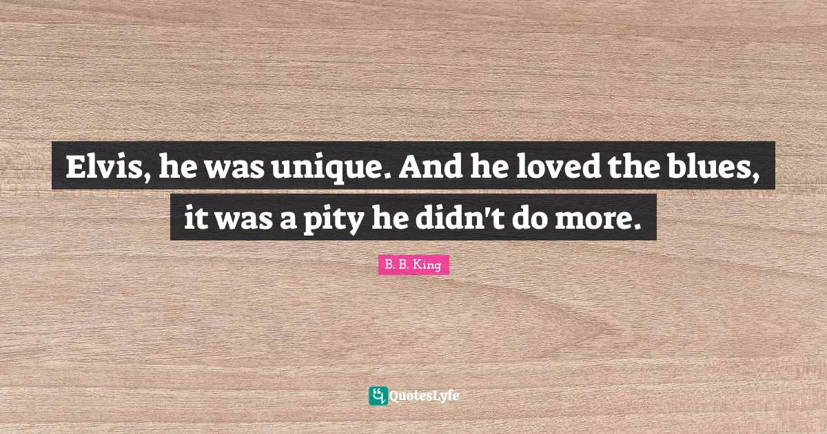 Elvis, he was unique. And he loved the blues, it was a pity he didn't do more.