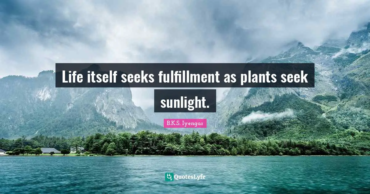 Sunlight Quotes: "Life itself seeks fulfillment as plants seek sunlight."