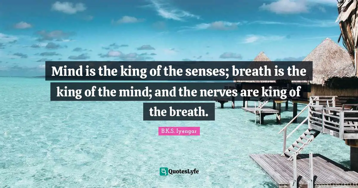 Mind is the king of the senses; breath is the king of the mind; and the nerves are king of the breath.