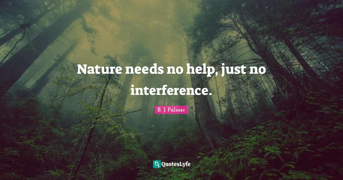 Nature needs no help, just no interference.... Quote by B. J. Palmer