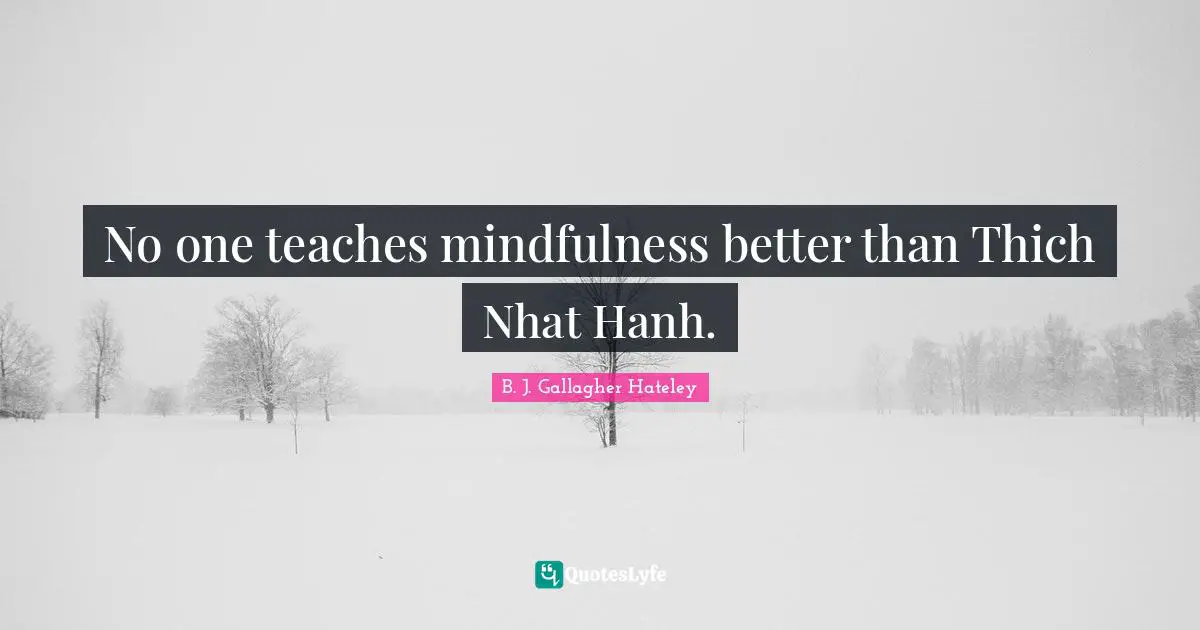 No one teaches mindfulness better than Thich Nhat Hanh.