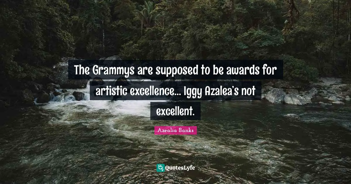 Awards Quotes: "The Grammys are supposed to be awards for artistic excellence… Iggy Azalea’s not excellent."