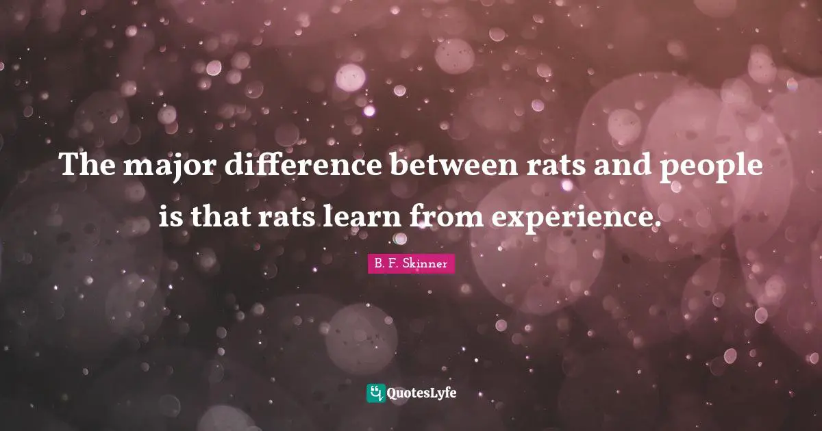 Experience Quotes: "The major difference between rats and people is that rats learn from experience."