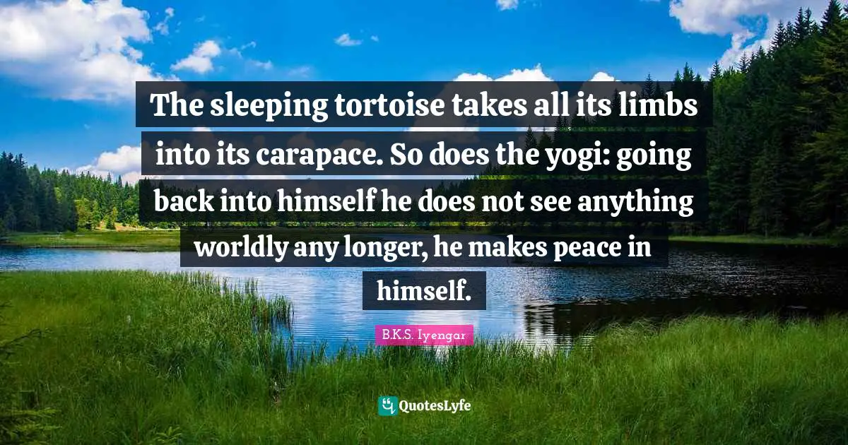 The sleeping tortoise takes all its limbs into its carapace. So does the yogi: going back into himself he does not see anything worldly any longer, he makes peace in himself.