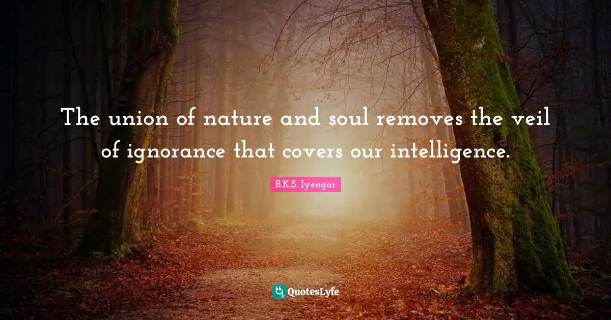 The union of nature and soul removes the veil of ignorance that covers our intelligence.