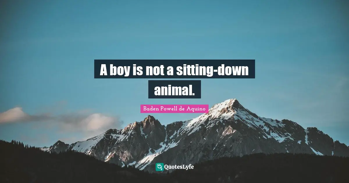 A boy is not a sitting-down animal.