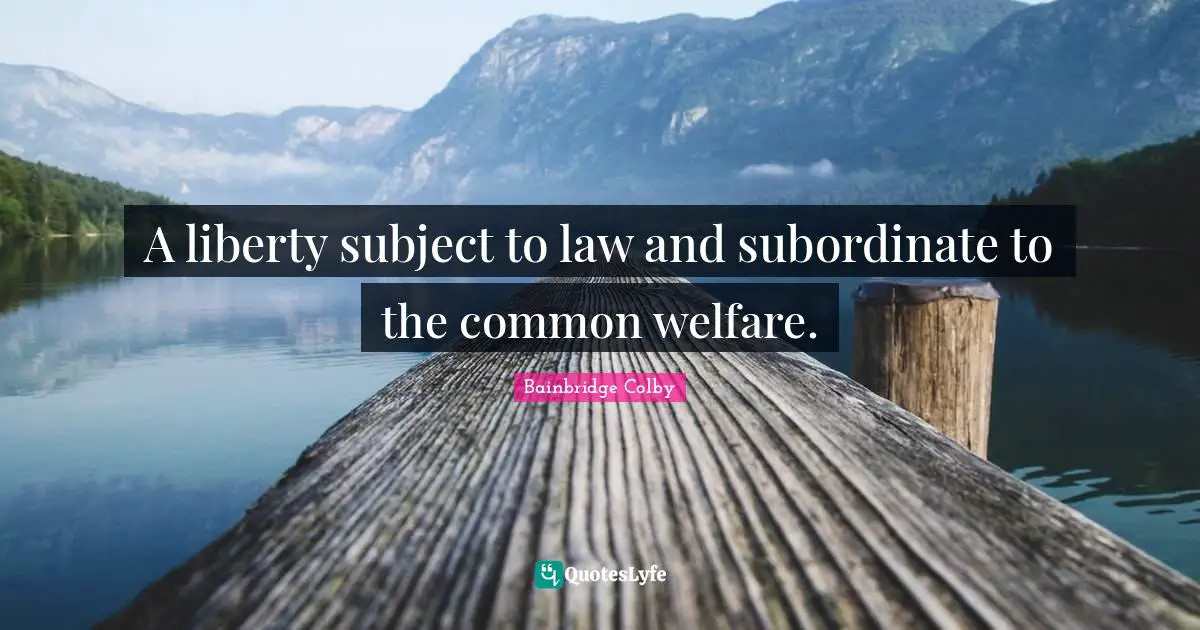 Bainbridge Colby Quotes: "A liberty subject to law and subordinate to the common welfare."