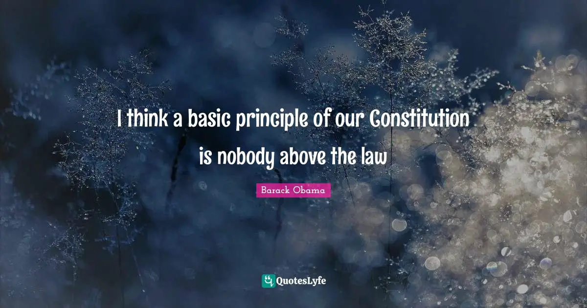 I think a basic principle of our Constitution is nobody above the law