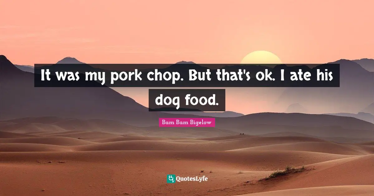 It was my pork chop. But that's ok. I ate his dog food.