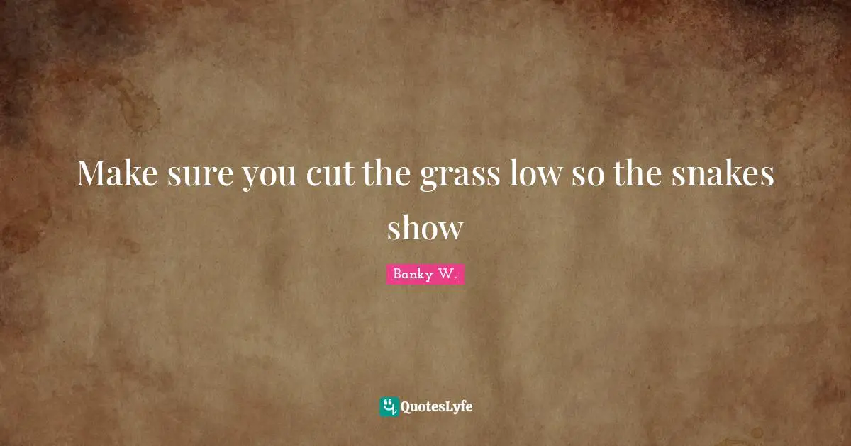 Make sure you cut the grass low so the snakes show