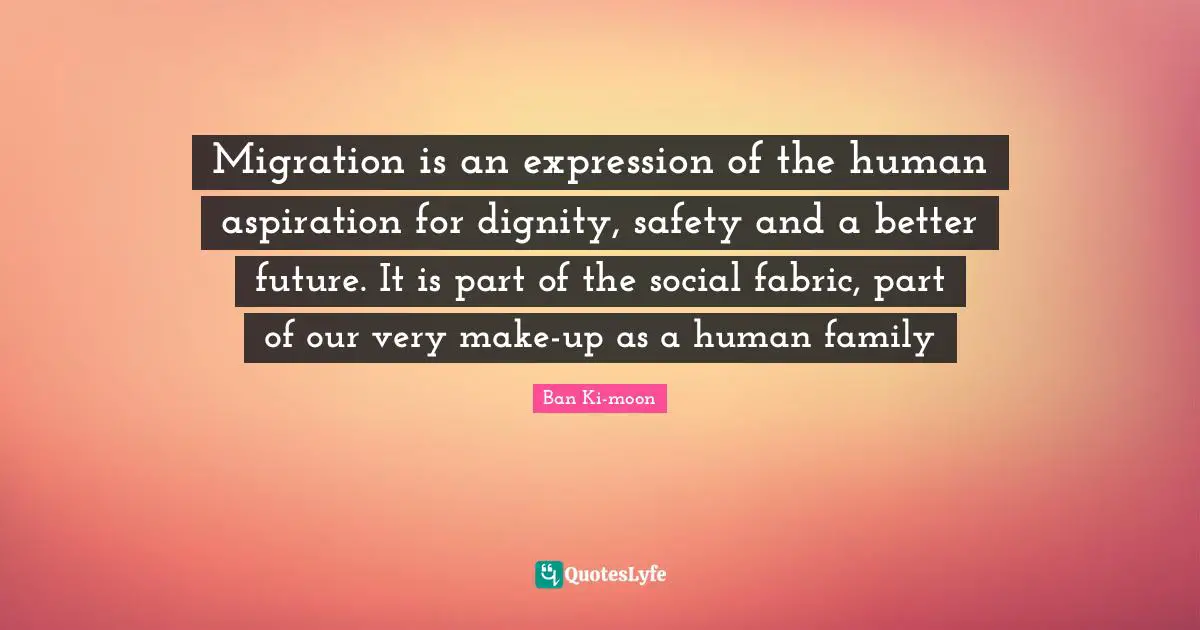 Safety Quotes: "Migration is an expression of the human aspiration for dignity, safety and a better future. It is part of the social fabric, part of our very make-up as a human family"