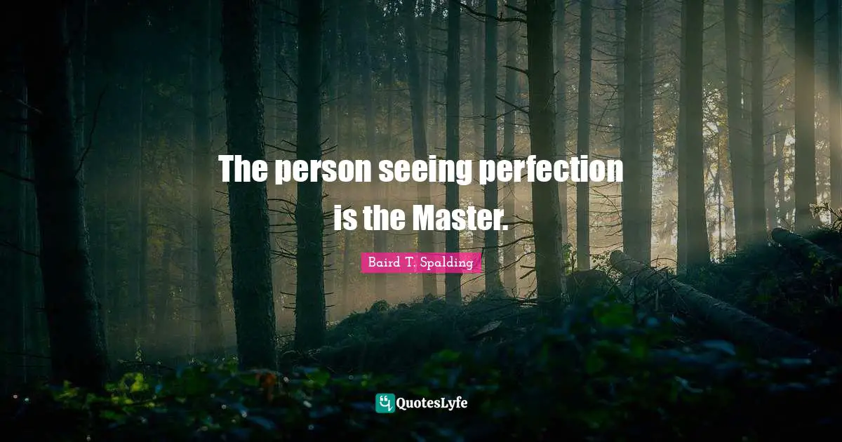 The person seeing perfection is the Master.