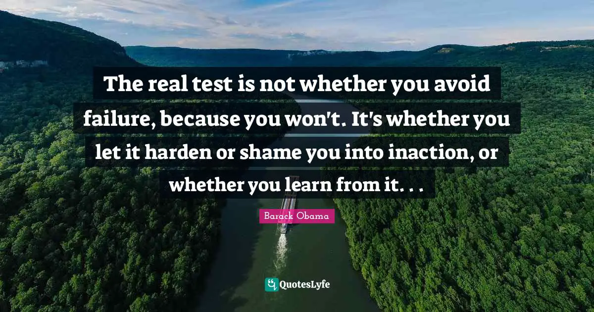 The real test is not whether you avoid failure, because you won't. It's whether you let it harden or shame you into inaction, or whether you learn from it. . .